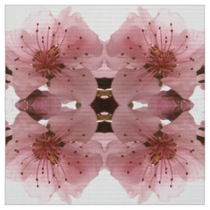 Tecido flor de cerejeira. Teste padrão floral do