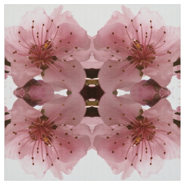 Tecido flor de cerejeira. Teste padrão floral do (Modelo)