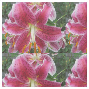 Tecido Flor do roxo do Stargazer do lírio