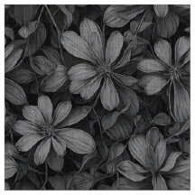 Florais Fibonacci II