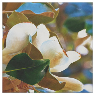 Tecido Flores brancas da magnólia