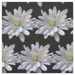 Tecido Flores brancas de margarida branca