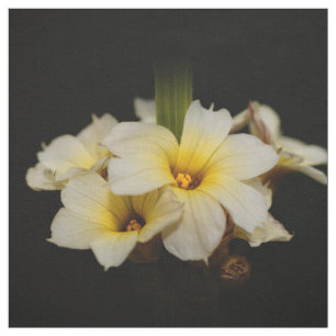 Tecido Flores de Satin Elegantes em Preto