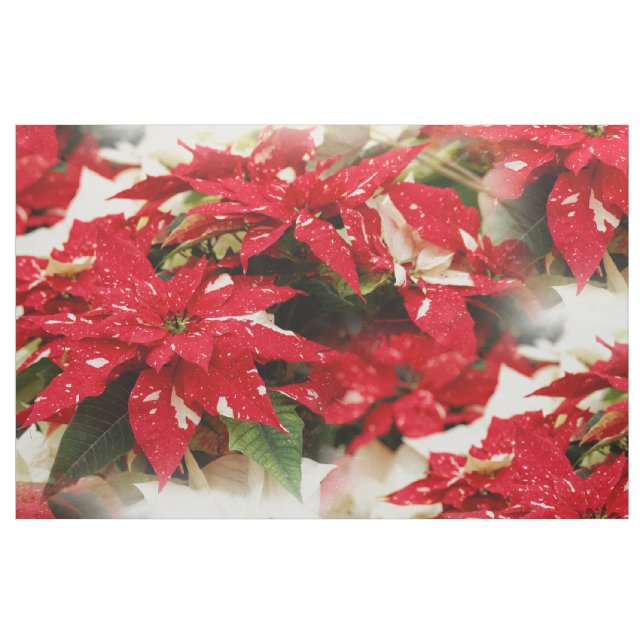 Tecido Flores Festivas de Natal Vermelhas e Brancas (Fat Quarter)