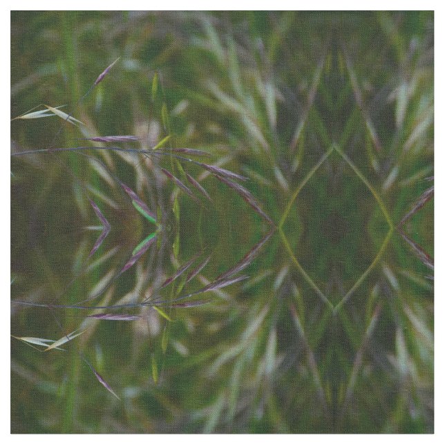 Tecido Foi Para A Semente (Detalhe)