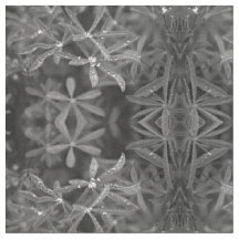 Folhas com Pontas de Água