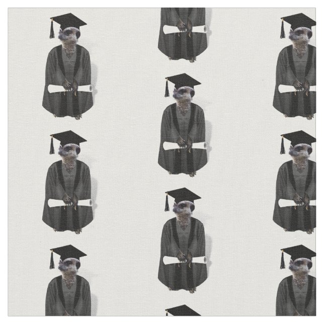 Tecido Formando Meerkat com Diploma (Detalhe)