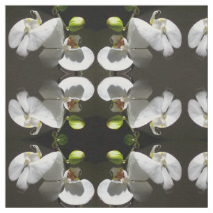Tecido foto de orquídea branca, foto floral branca tropi