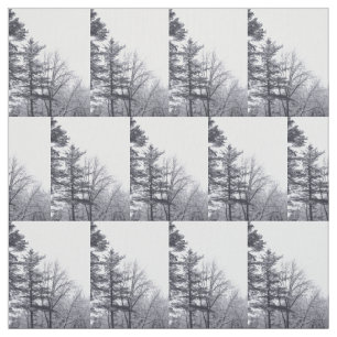 Tecido Fotográfico de inverno sobre árvores cobert