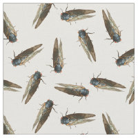Fotos de Cicadas, Insetos, Insetos Padrão