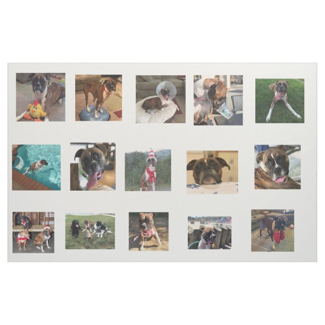 Tecido fotos do cão (Fat Quarter)