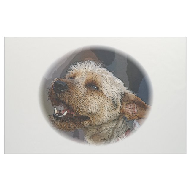 Tecido Fronteira de Grelha e Transmissão (Jarda)