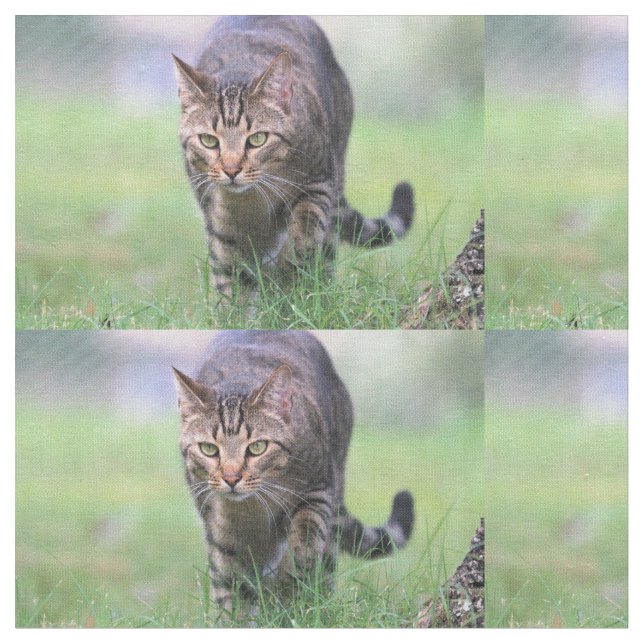 Tecido Gabe (Detalhe)