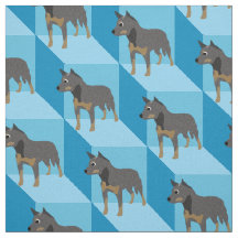 Gado australiano em cubos azuis