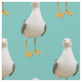 Tecido Gaivota bonito em um fundo claro da cerceta