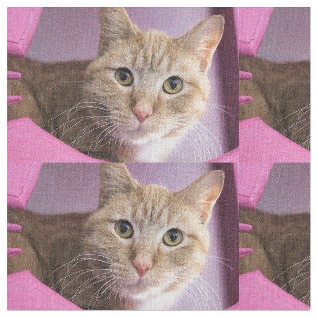 Tecido Gato (Detalhe)