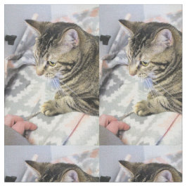 Tecido Gato
