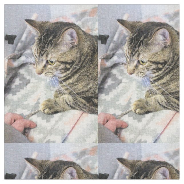 Tecido Gato (Detalhe)