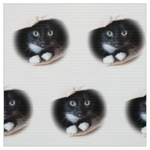 Tecido Gato em um saco