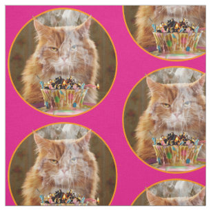 Tecido Gato Engraçado Com Cupcake De Aniversário Derret