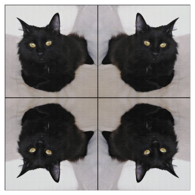 Tecido Gato no sofá (Modelo)