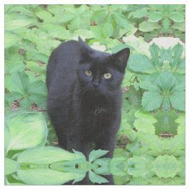 Tecido Gato preto do gatinho no jardim