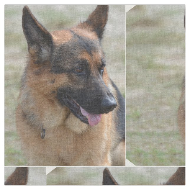 Tecido German shepherd adorável (Detalhe)