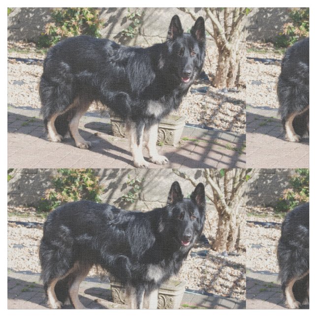 Tecido german shepherd preto full.png (Detalhe)