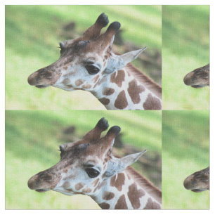 Tecido Girafa do bebê