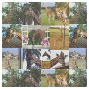Tecido Giraffe Photo Collage,