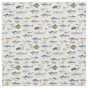 Tecido Gráficos de identificação de tubarão rotulados