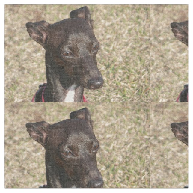 Tecido greyhound.png italiano (Detalhe)