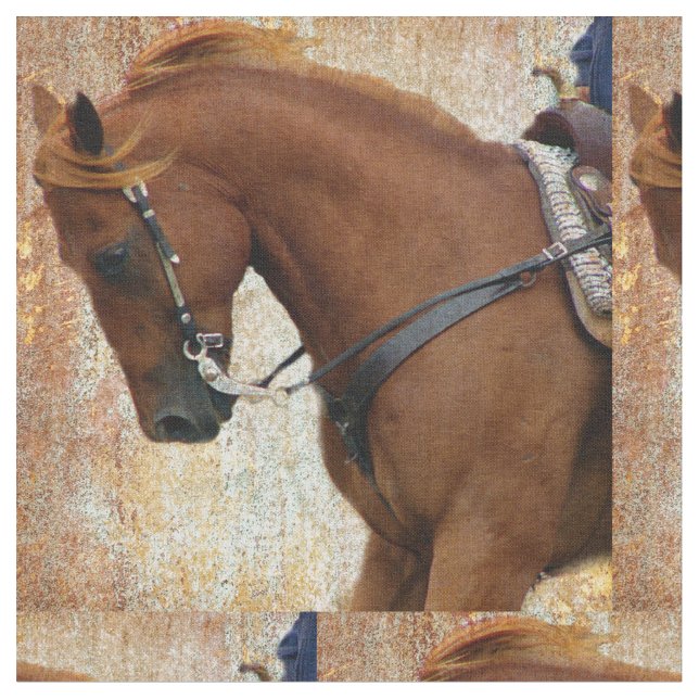 Tecido Grunge de Cavalo Ocidental (Detalhe)