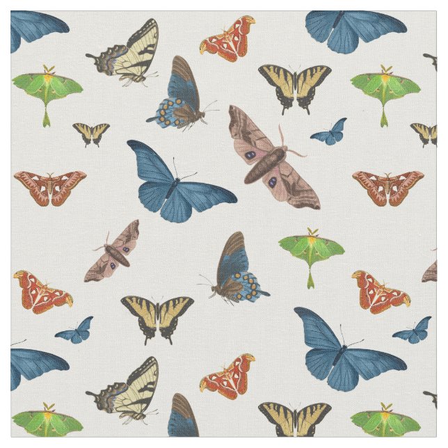 Tecido halloween creepy moth print (Detalhe)