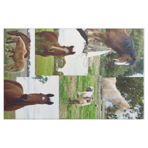 Tecido Horse_Collage, Material de algodão comprimido (56
