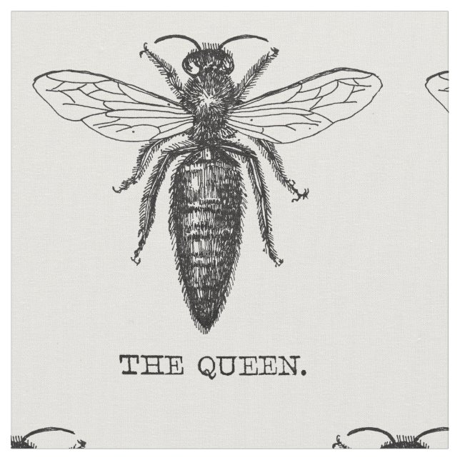 Tecido Ilustração Anterior do Inseto de Abelhas da Rainha (Detalhe)