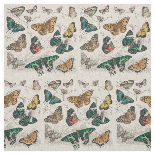 Tecido Ilustração Antiga de Borboleta: 1820 Ourivesaria (Modelo)