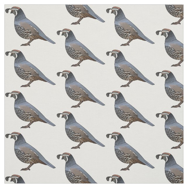 Tecido Ilustração de desenho animado de codorniz da Calif (Modelo)