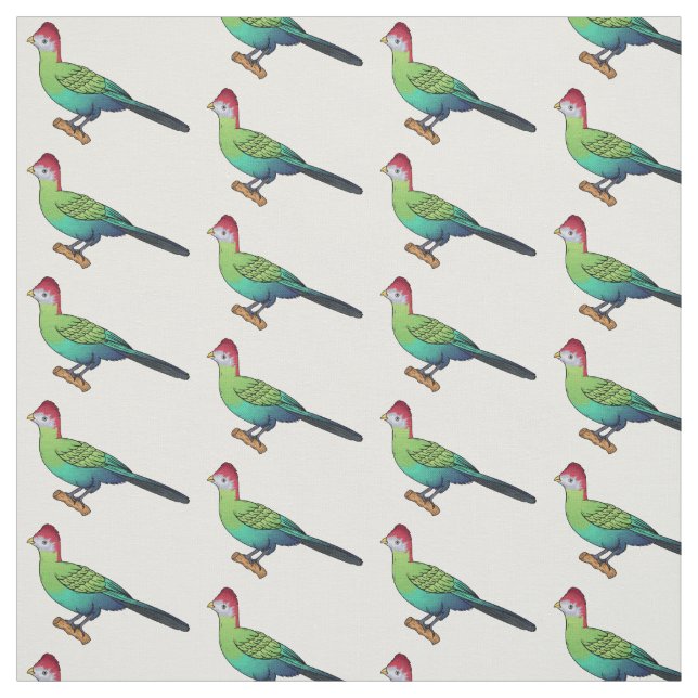 Tecido Ilustração de desenho animado de pássaro turaco co (Modelo)