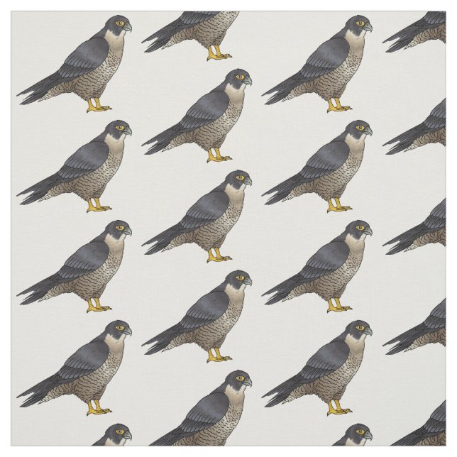 Tecido Ilustração de desenho animado de pássaros falcões  (Modelo)