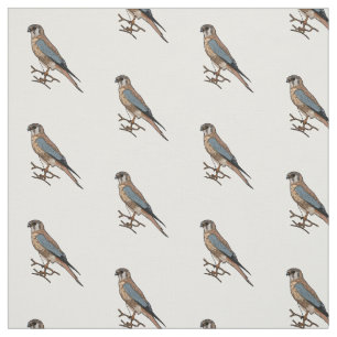 Tecido Ilustração de desenho de aves do estrel americano