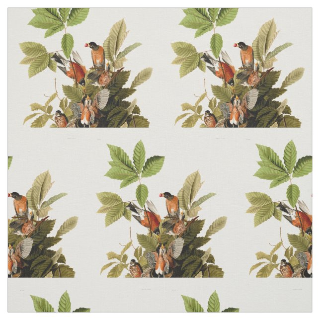 Tecido Ilustração de Pássaros Robin Wildlife da América d (Modelo)