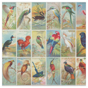 Tecido Ilustração tropical bonita do século XIX dos