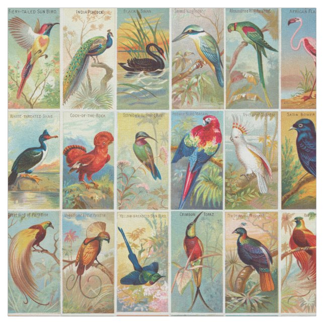Tecido Ilustração tropical bonita do século XIX dos (Modelo)