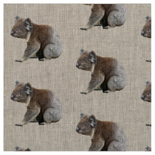 Tecido Impressão bonito da foto do Koala