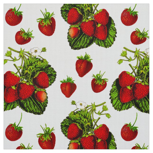 Tecido Impressão de Ilustração de Morango Botânico em Bra (Modelo)
