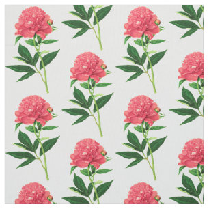 Tecido Impressão de Vintage Botânico, Pedônio Rosa Cor