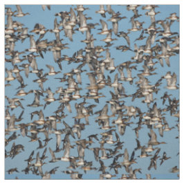 Tecido Incrível Patos de inverno no voo