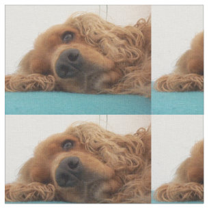 Tecido inglês vermelho cocker spaniel 2.png