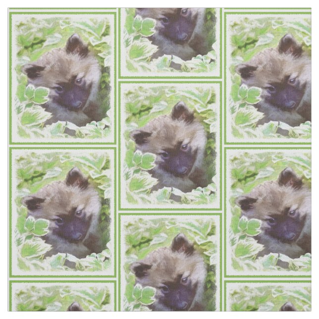 Tecido Keeshond Puppy na Pintura Original (Modelo)